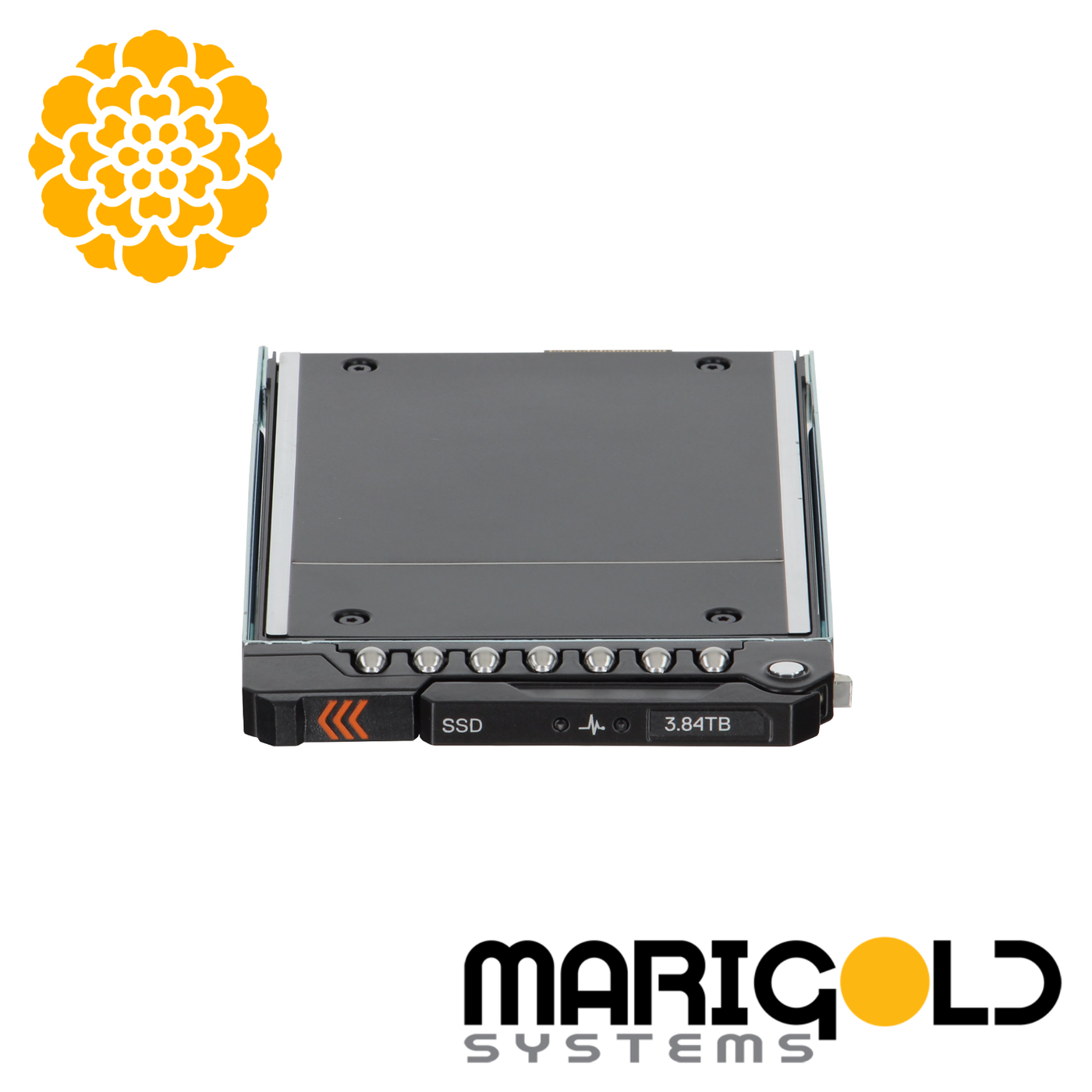 Dell 3.84TB Gen5 E3.S NVMe TLC SSD RI in EDSFF E3 Tray 0831H5 ...
