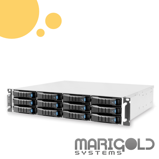 2012a Storage Rack 4f AIC J2012-04-04X 2U Rack Mount Storage Array – Marigold Systems
