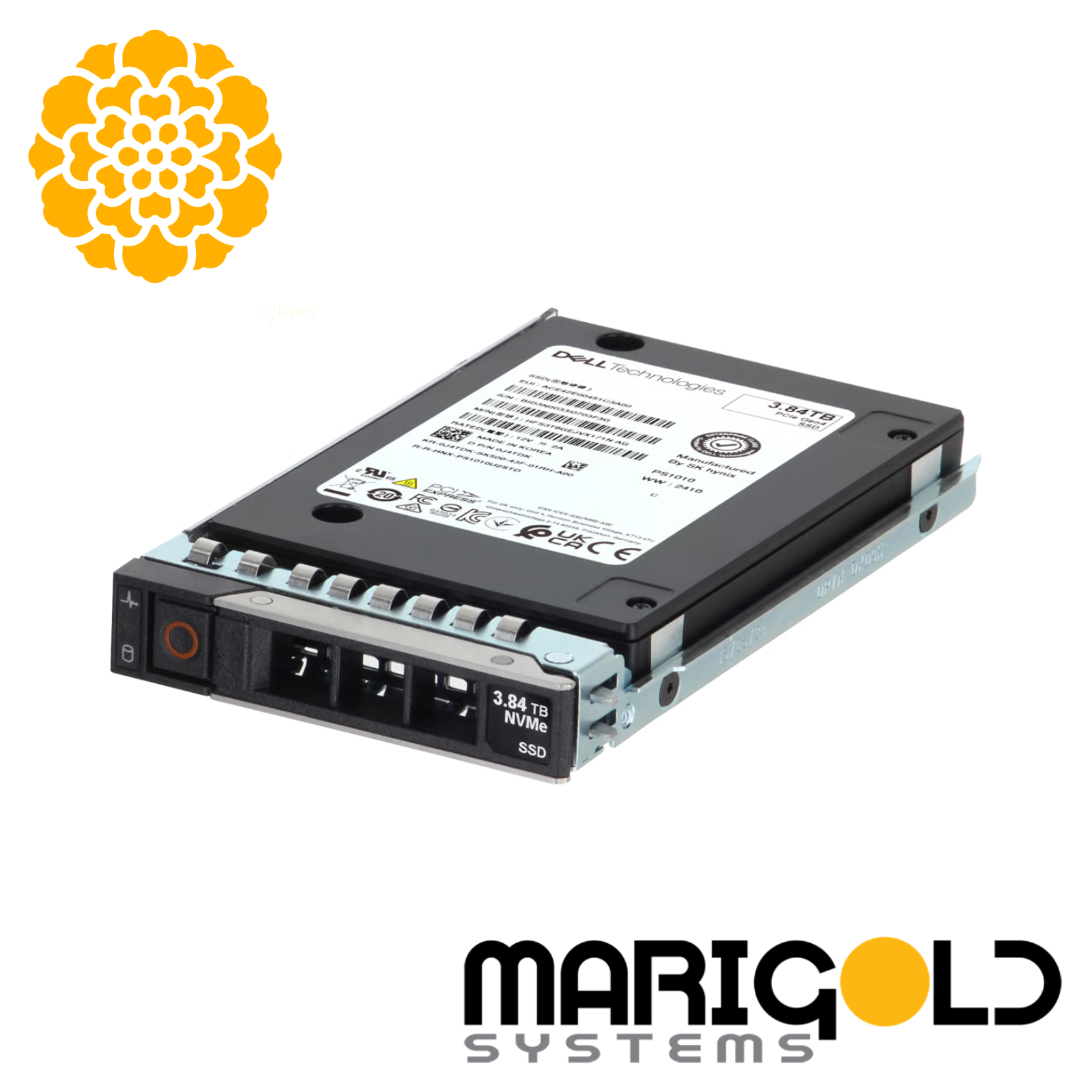 Dell 3.84TB Gen4 U.2 NVMe TLC SSD RI in 2.5