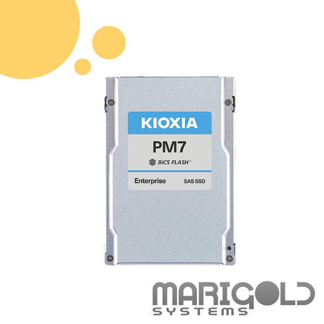 KIOXIA PM7-R 7.68TB 24G SAS SSD KPM7XRUG7T68