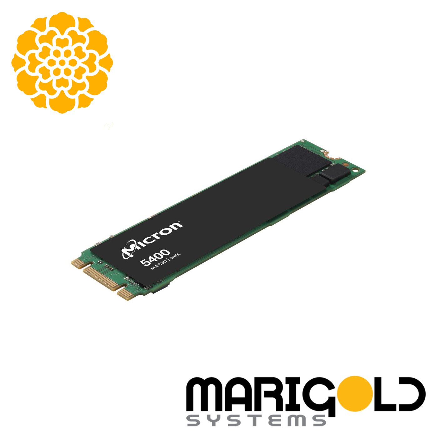 Micron 5400 Pro 480GB M.2 SATA SSD 1DWPD MTFDDAV480TGA-1BC1ZABYYR